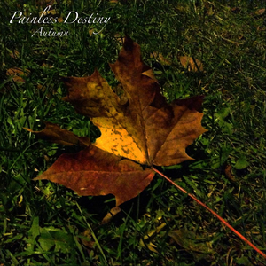 国产AV插入老师小穴
